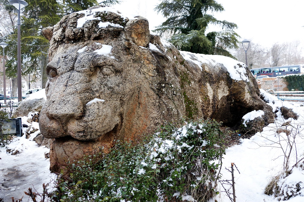 16295617457_240a2e78cc_b Lion Statue representing Things to Do in Ifrane with Kids