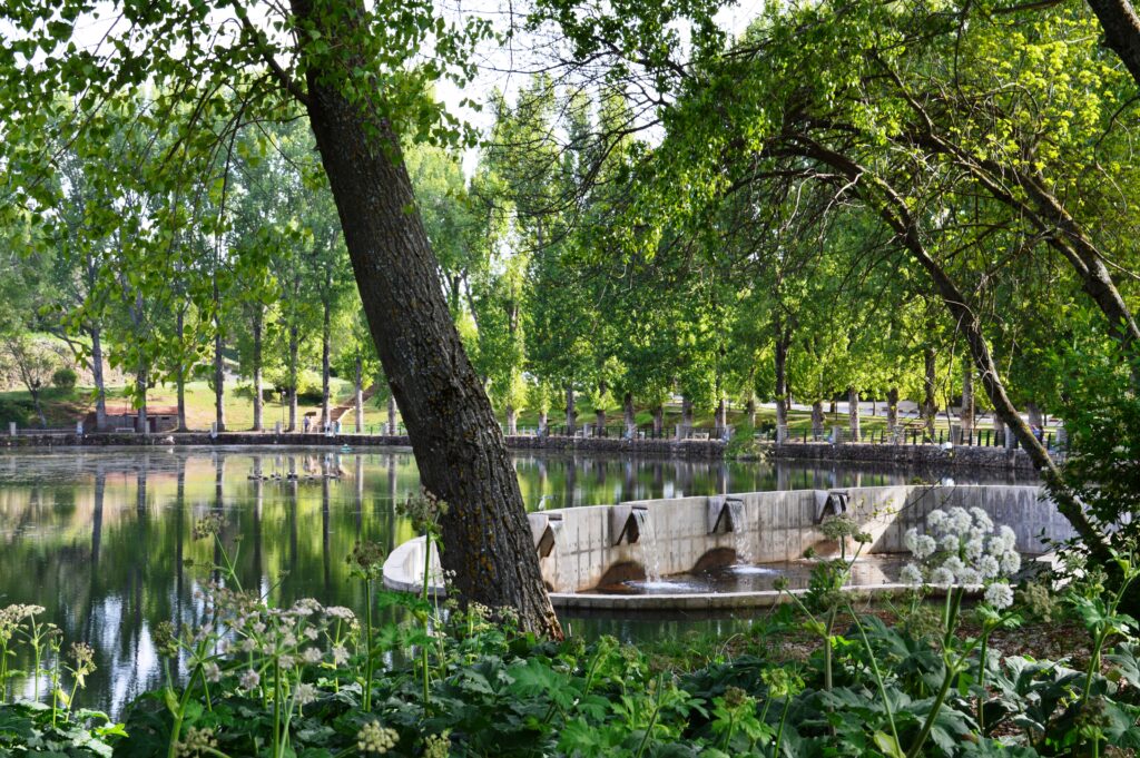 National_Park_of_Ifrane,_lake