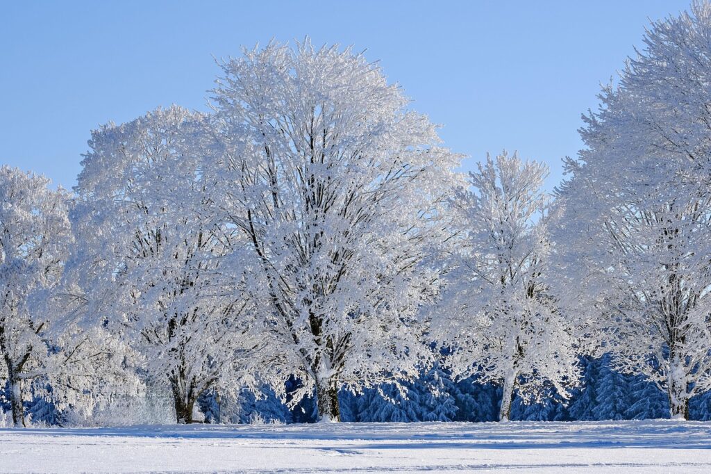 Ifrane travel guide - scenic view of the city