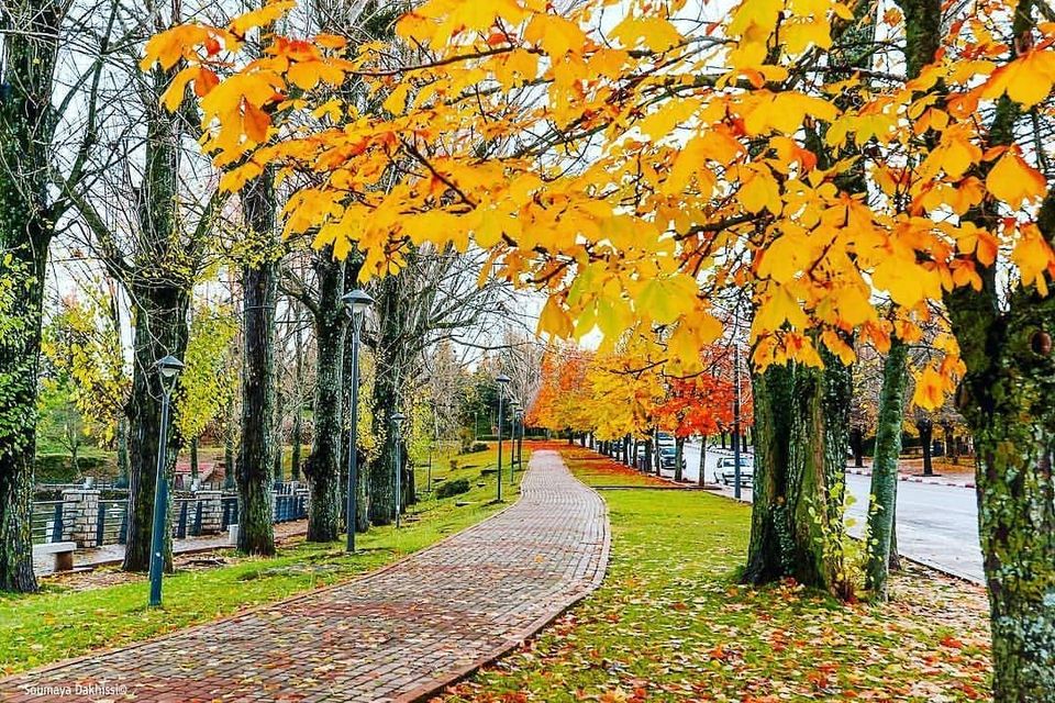 Ifrane-1 image showing best time to visit Ifarne in autumn